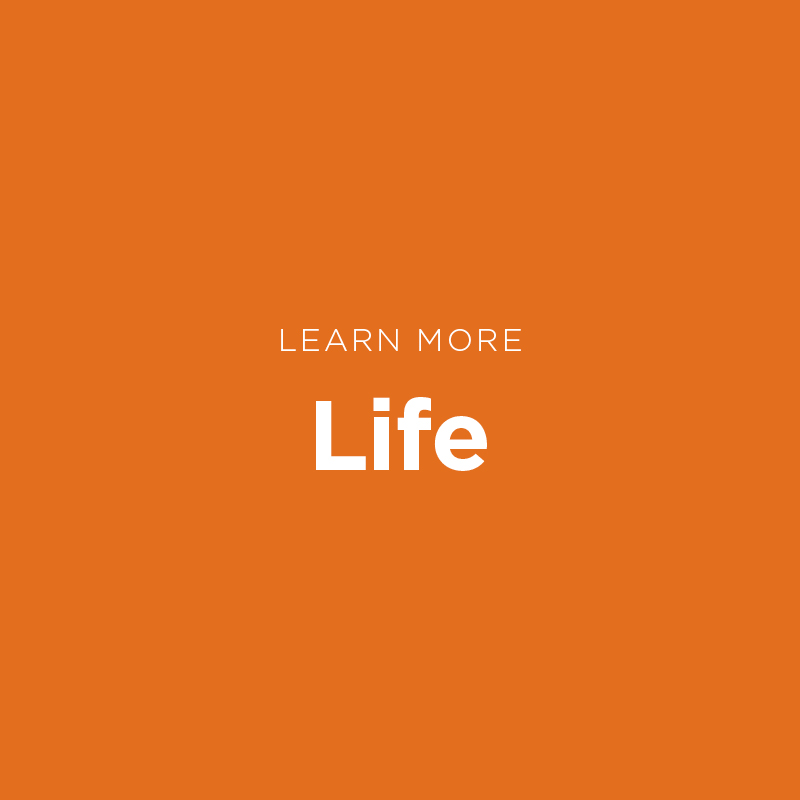 Learn More - Life